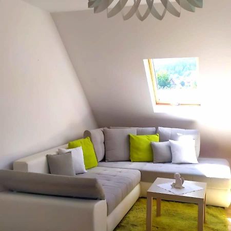 Appartement Widok Na Sniezke à Miłków Extérieur photo